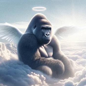 HARAMBE ⠀⠀⠀⠀⠀⠀⠀⠀⠀⠀⠀⠀⠀⠀⠀⠀⠀⠀⠀⠀⠀⠀⠀⠀⠀⠀⠀⠀⠀ ⠀⠀⠀⠀⠀⠀⠀⠀⠀⠀⠀⠀⠀⠀⠀⠀⠀⠀⠀⠀⠀⠀⠀⠀⠀⠀⠀⠀⠀  ⠀⠀⠀⠀⠀⠀⠀⠀⠀⠀⠀⠀⠀⠀⠀⠀⠀⠀⠀⠀⠀⠀⠀⠀⠀⠀⠀⠀⠀ ⠀⠀⠀⠀⠀⠀⠀⠀⠀⠀⠀⠀⠀⠀⠀TQkSV7JbpqM5u4mMYygrE2uQLss4qXTvBP / $HARAMBE⠀⠀⠀⠀⠀⠀⠀  幣種