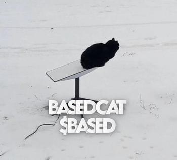 Based Cat 币种