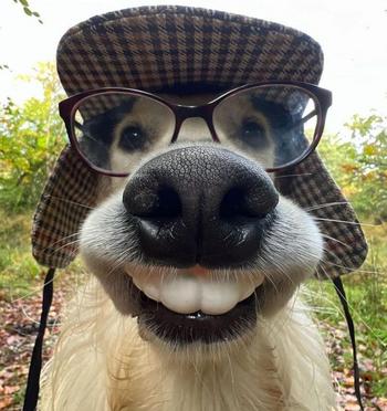 dogjshdak token
