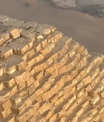 Pyramid Dog Token