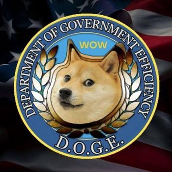 The Dep Of Government Efficiency 币种