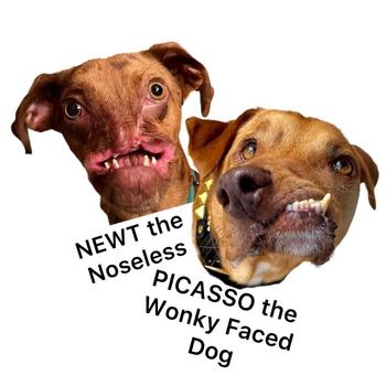 Token The Wonky Dogs