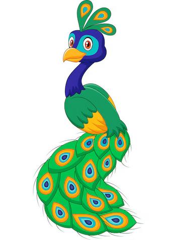 Peacock feature 币种