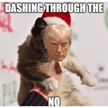 TrumpyCat 幣種