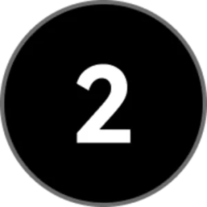 2Z