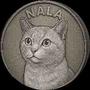 Icona token