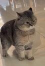 GRUMPY