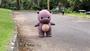 Plushdeng