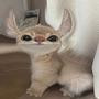 史迪猫