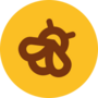 BGT token