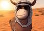 DONKEY
