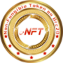 nft_brc20