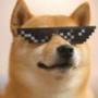 ODINDOGE•ID•WQNH•ODIN