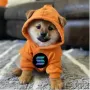 DOG•GO•TO•SOLANA