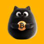 BITCAT•ID•EOSE•ODIN