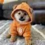 DOG•GO•TO•TNE•MOOH