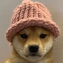 Токен Dog wif hat