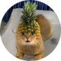 Токен Pineapple Cat