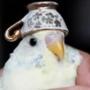Token birb