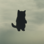 void