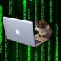 Токен Coded