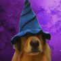 Token Wiz