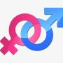 TWO GENDER COIN Token