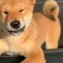 Ikona tokenu