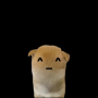 ^_^ 幣種