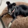 Ikona tokena
