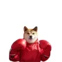Ikona tokenu