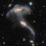 Jeton JELLYFISH GALAXY