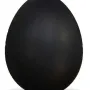 FIRST NIGGA EGG ON SOL 币种