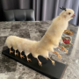 Drunk Chicken Centipede 幣種