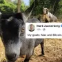 Jeton Bitcoin The Goat