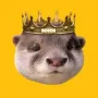 Degen The Otter 币种