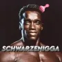 Arnold Schwarzenigga 币种