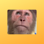 Token-Icon
