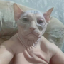 Значок токена