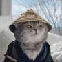 token Samurai Cat