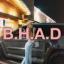 B.H.A.D  幣種