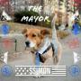 Simon for NYC Dog Mayor 币种