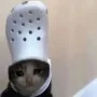 Jeton croc cat