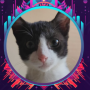 The Graph Official Mascot token