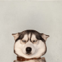 Token annoyed dog