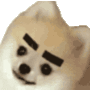 幣種圖標