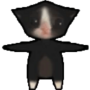 autista cat 幣種