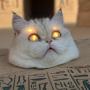 EGYPTIAN LASER CAT 币种