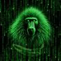 Token MonkeyAI
