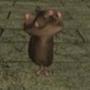 Janro The Rat-token